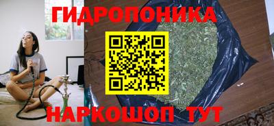 крисы Пыть-Ях