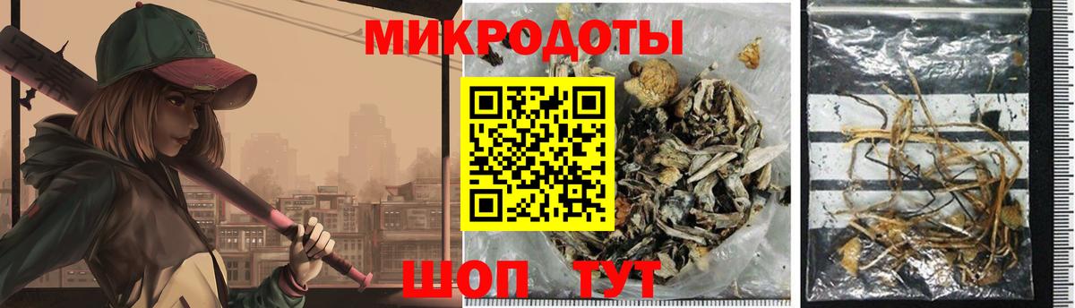 Псилоцибиновые грибы Psilocybine cubensis Новороссийск
