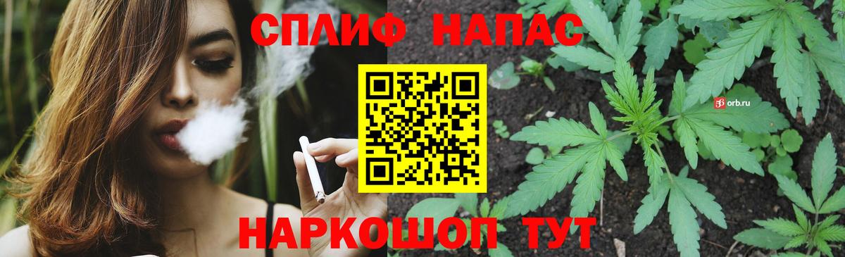 Бошки Шишки тримм  Вход с VPN  Бошки марихуана OG Kush  Новороссийск 